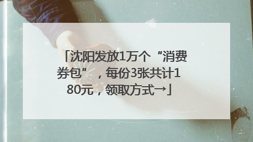 沈阳发放1万个“消费券包”，每份3张共计180元，领取方式→