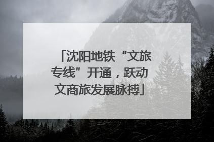 沈阳地铁“文旅专线”开通，跃动文商旅发展脉搏