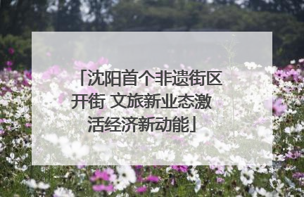 沈阳首个非遗街区开街 文旅新业态激活经济新动能