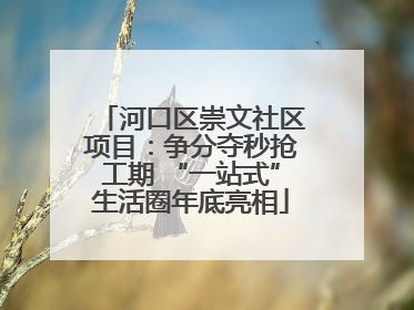 河口区崇文社区项目：争分夺秒抢工期 “一站式”生活圈年底亮相