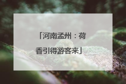 河南孟州：荷香引得游客来