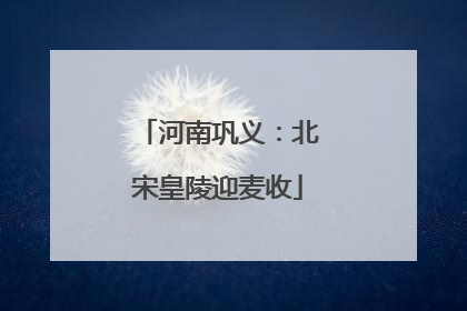 河南巩义：北宋皇陵迎麦收