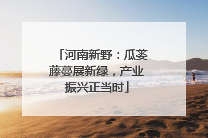 河南新野：瓜蒌藤蔓展新绿，产业振兴正当时