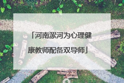 河南漯河为心理健康教师配备双导师