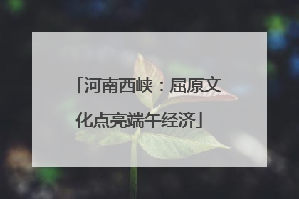 河南西峡：屈原文化点亮端午经济