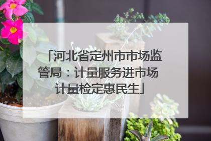 河北省定州市市场监管局：计量服务进市场 计量检定惠民生