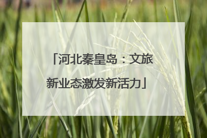河北秦皇岛：文旅新业态激发新活力