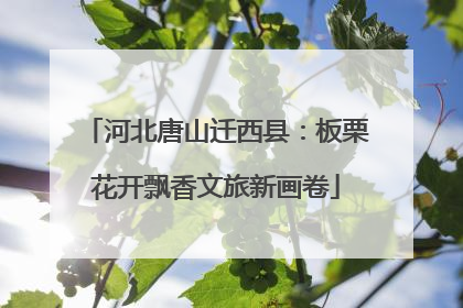 河北唐山迁西县：板栗花开飘香文旅新画卷