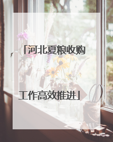 河北夏粮收购工作高效推进