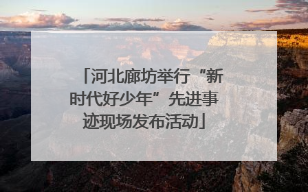河北廊坊举行“新时代好少年”先进事迹现场发布活动