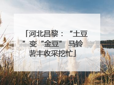 河北昌黎：“土豆”变“金豆” 马铃薯丰收采挖忙