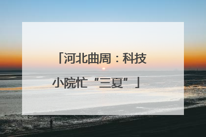 河北曲周：科技小院忙“三夏”