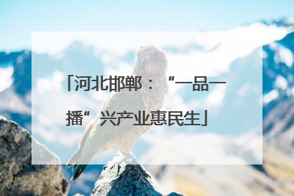 河北邯郸：“一品一播”兴产业惠民生