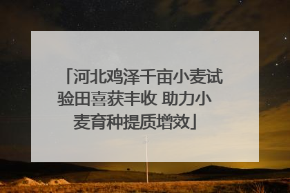 河北鸡泽千亩小麦试验田喜获丰收 助力小麦育种提质增效