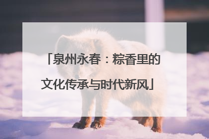 泉州永春：粽香里的文化传承与时代新风