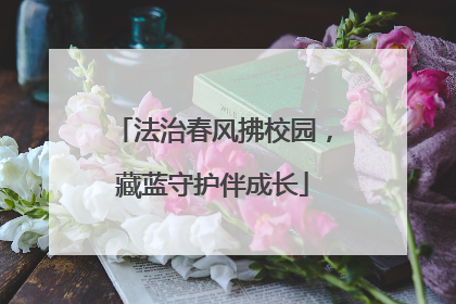法治春风拂校园，藏蓝守护伴成长