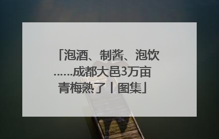 泡酒、制酱、泡饮……成都大邑3万亩青梅熟了丨图集