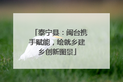泰宁县：闽台携手赋能，绘就乡建乡创新图景