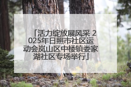 活力绽放展风采 2025年日照市社区运动会岚山区中楼镇娄家湖社区专场举行