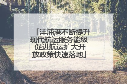 洋浦港不断提升现代航运服务能级 促进航运扩大开放政策快速落地