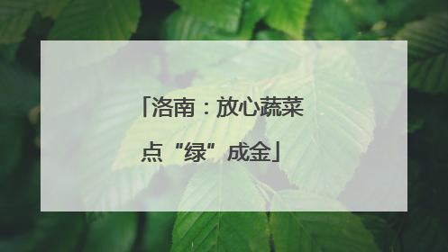 洛南：放心蔬菜点“绿”成金