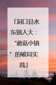 洞口县水东镇人大：“蘑菇小镇”的破局实践