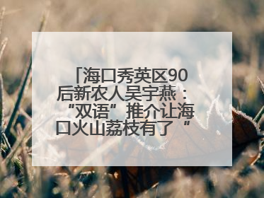 海口秀英区90后新农人吴宇燕：“双语”推介让海口火山荔枝有了“国际范”