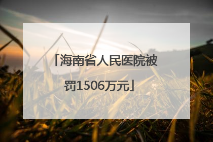 海南省人民医院被罚1506万元