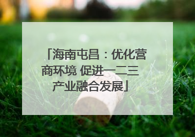 海南屯昌：优化营商环境 促进一二三产业融合发展