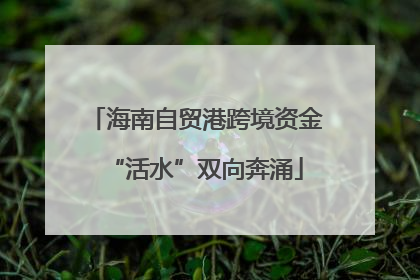 海南自贸港跨境资金“活水”双向奔涌