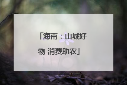 海南：山城好物 消费助农