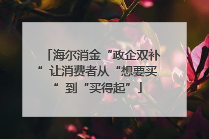 海尔消金“政企双补”让消费者从“想要买”到“买得起”