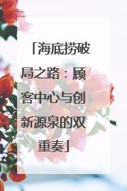 海底捞破局之路：顾客中心与创新源泉的双重奏