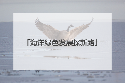 海洋绿色发展探新路