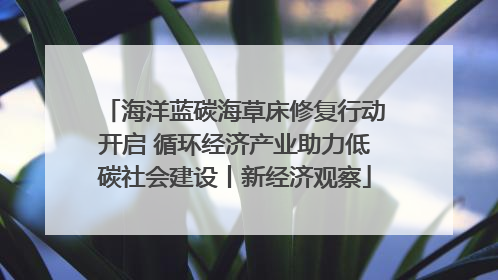 海洋蓝碳海草床修复行动开启 循环经济产业助力低碳社会建设丨新经济观察
