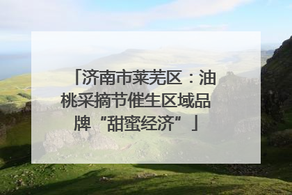 济南市莱芜区：油桃采摘节催生区域品牌“甜蜜经济”