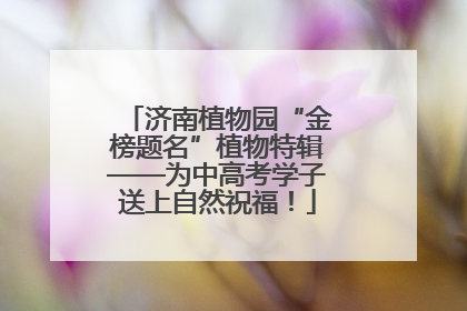 济南植物园“金榜题名”植物特辑——为中高考学子送上自然祝福！