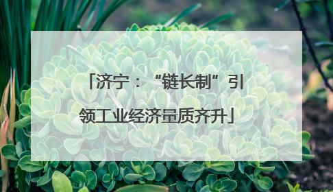 济宁：“链长制”引领工业经济量质齐升