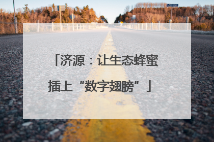 济源：让生态蜂蜜插上“数字翅膀”