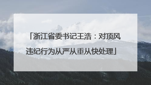 浙江省委书记王浩：对顶风违纪行为从严从重从快处理
