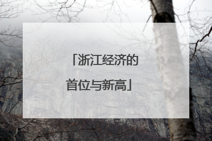 浙江经济的首位与新高