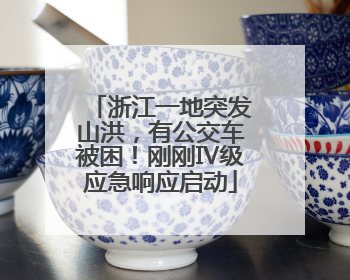 浙江一地突发山洪，有公交车被困！刚刚Ⅳ级应急响应启动