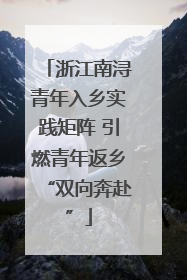 浙江南浔青年入乡实践矩阵 引燃青年返乡“双向奔赴”
