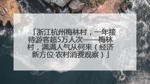 浙江杭州梅林村，一年接待游客超5万人次——梅林村，满满人气从何来（经济新方位·农村消费观察）