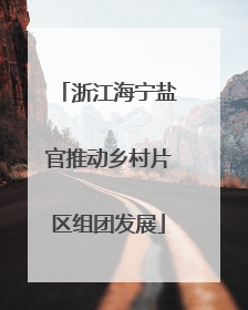 浙江海宁盐官推动乡村片区组团发展