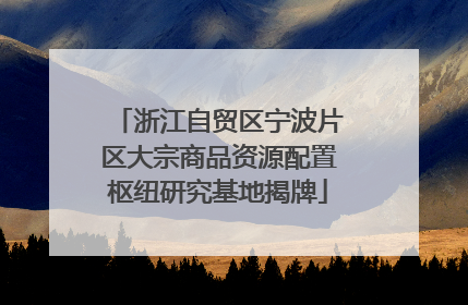 浙江自贸区宁波片区大宗商品资源配置枢纽研究基地揭牌