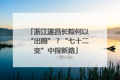 浙江遂昌长粽何以“出圈”？“七十二变”中探新路