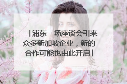 浦东一场座谈会引来众多新加坡企业，新的合作可能也由此开启