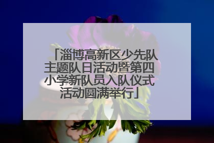 淄博高新区少先队主题队日活动暨第四小学新队员入队仪式活动圆满举行