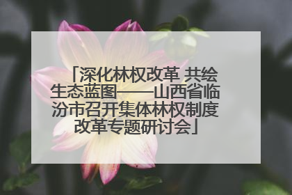 深化林权改革 共绘生态蓝图——山西省临汾市召开集体林权制度改革专题研讨会